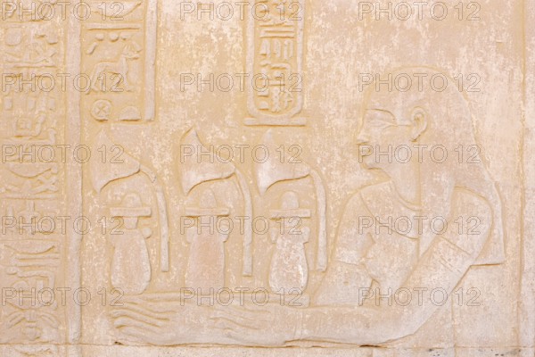 Relief at the double temple of Kom Ombo, Kom Ombo, Egypt