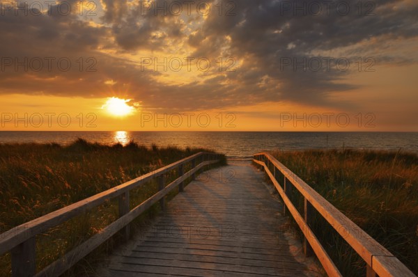 Wooden walkway through the dunes on the Baltic Sea at sunrise, Dahme, Ostholstein, Germany