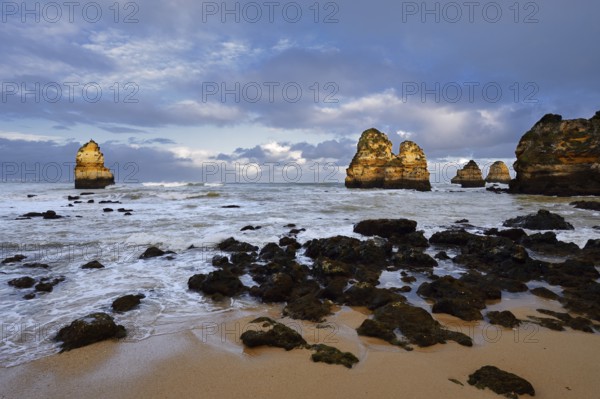 Rock formations on the coast in the evening light, Praia do Camilo, Lagos, Algarve, Portugal