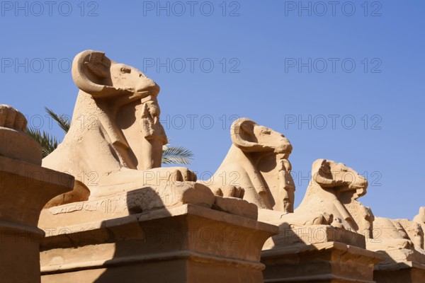 Sphinx Avenue, Karnak Temple, Luxor, Egypt