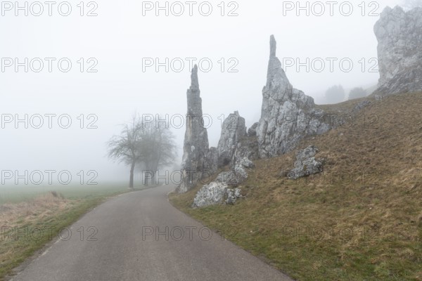 Spring 2026: Mystic morning fog surrounding the Stone Virgins (Steinerne Jungfrauen) rock formation. Herbrechtingen, Baden-Wuerttemberg, Germany