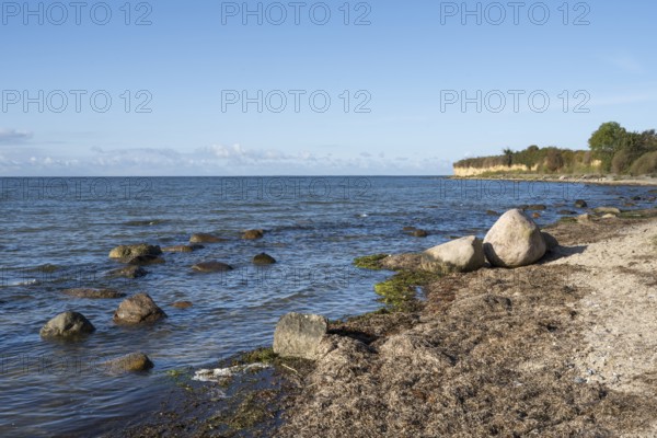 Boulders on the banks of the Saal, cliffs, Klein Zicker, Mönchgut, Rügen island, Baltic Sea, Mecklenburg-Western Pomerania, Germany