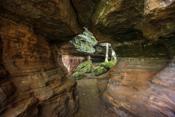 Sandstone Cliffs, Old Castle Rock, near Eppenbrunn, Palatinate Forest, Rhineland-Palatinate, Germany