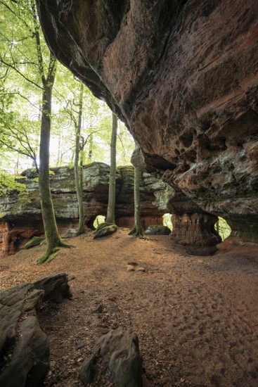 Sandstone Cliffs, Old Castle Rock, near Eppenbrunn, Palatinate Forest, Rhineland-Palatinate, Germany