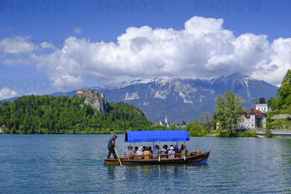 Bled Castle, above Bled, Lake Bled, Slovenia