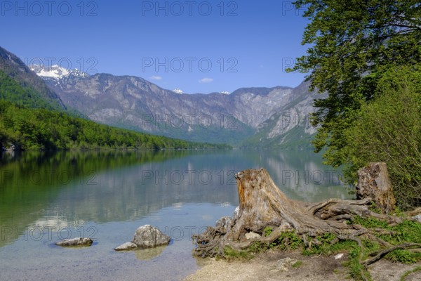 Bohinjsko jezero, Lake Bohinj, Upper Carniola, Slovenia