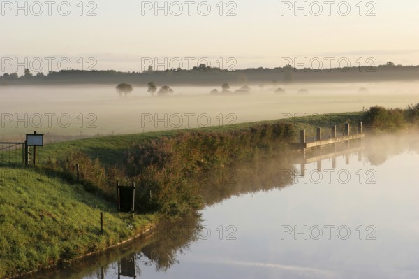 Westerende, foggy morning, lowlands, Ems-Jade Canal, East Frisia, Germany