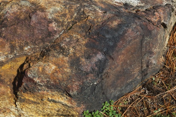 Close-up of outcrop rock surface with nuanced rusted, yellowish, reddish brown and blackened colour tones, Quebec, Canada