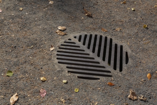 Close-up of heavy cast iron metal storm drain cover on compacted gravel path with fallen leaves in autumn, Quebec, Canada