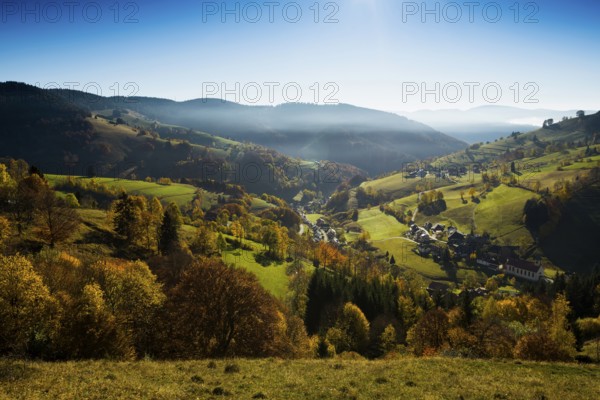 Autumn-colored forest, Wiesental, Black Forest, Baden-Württemberg, Germany