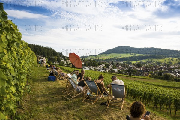 Wine tasting in the vineyards, Freiburg im Breisgau, Black Forest, Baden-Württemberg, Germany