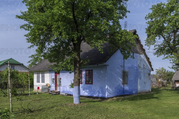 Old German settler house with garden in the former Dornfeld from 1789-1939, today Ternopillya, Ukraine