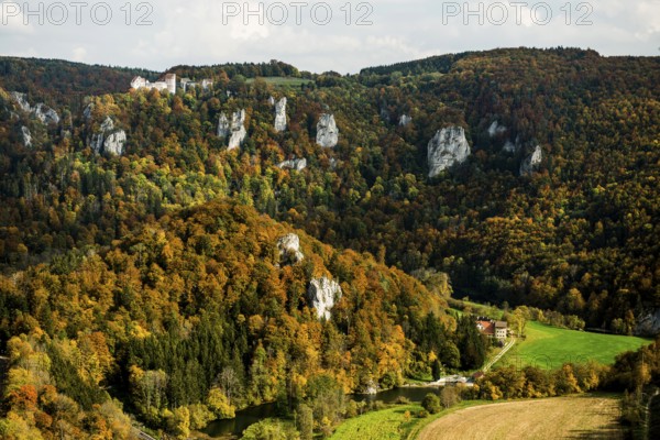 Autumnal forest and Wildenstein Castle, Rauher Stein viewpoint, near Leibertingen, Upper Danube nature park Park, Upper Danube Valley, Danube, Swabian Jura, Baden-Württemberg, Germany