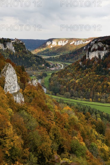 Autumnal forest and Werenwag Castle, Eichfelsen viewpoint, near Irndorf, Upper Danube nature park Park, Upper Danube Valley, Danube, Swabian Jura, Baden-Württemberg, Germany