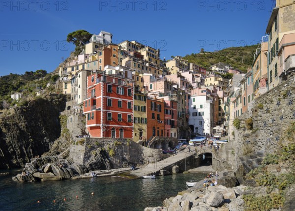 Colourful houses under blue sky, view of the fishing village of Riomaggiore, boats in the harbour, Cinque Terre, La Spezia province, Liguria, Italy