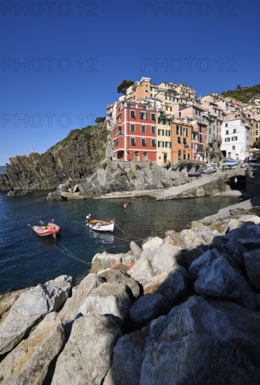 Colourful houses under blue sky, view of the fishing village of Riomaggiore, boats in the harbour, Cinque Terre, La Spezia province, Liguria, Italy