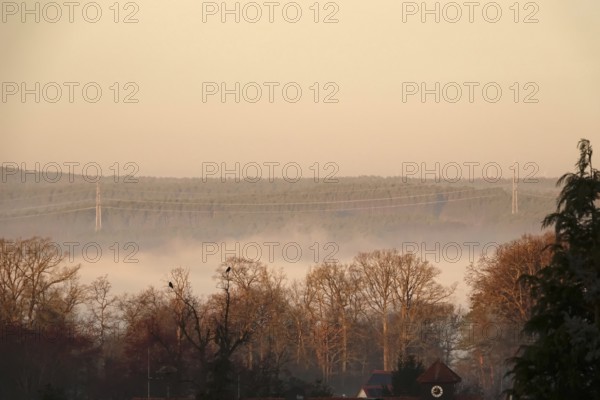 Morning fog in winter, landscape with trees, Germany