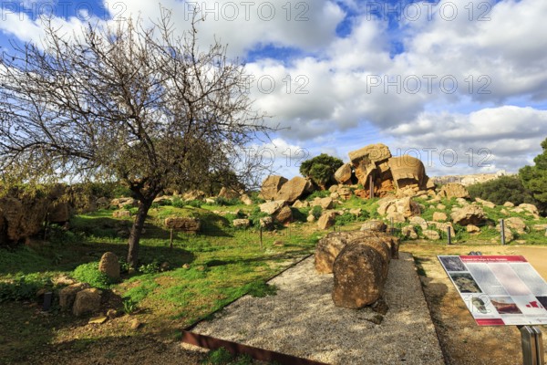 Rubble field, destruction, ruins, temple of Olympian Zeus with display board, Telamon, Cumulus, Valley of the Temples, Agrigento, Sicily, Italy