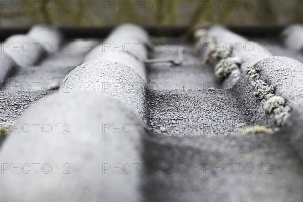 Hoarfrost on a roof, winter, Germany