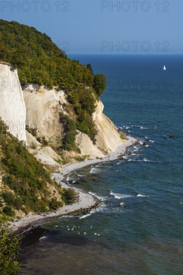 View of chalk cliffs in Jasmund National Park on Rügen, sailboat, Sassnitz, Rügen, Mecklenburg-Western Pomerania, Germany