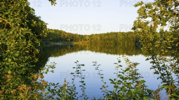 Ahlhorn fishing pond in late summer, Ahlhorn, Lower Saxony, Germany