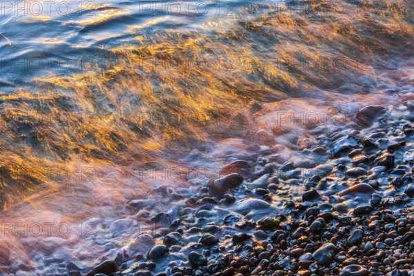 Wave play at sunrise on the chalk coast in Jasmund National Park, Rügen, Sassnitz, Mecklenburg-Western Pomerania, Germany