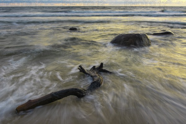 Evening on the chalk coast in Jasmund National Park, Rügen, Sassnitz, Mecklenburg-Western Pomerania, Germany