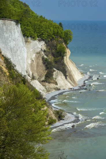 View of chalk cliffs in Jasmund National Park on Rügen, Sassnitz, Rügen, Mecklenburg-Western Pomerania, Germany