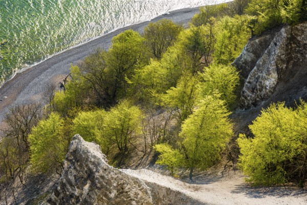 View of chalk cliffs in Jasmund National Park on Rügen, Sassnitz, Rügen, Mecklenburg-Western Pomerania, Germany