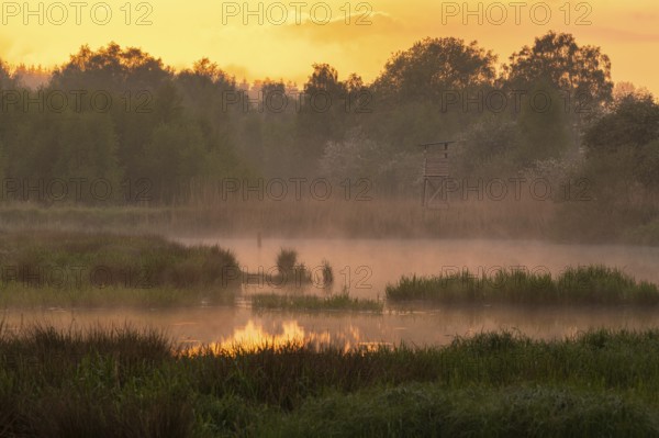 Sunset at Ahlhorn fish ponds, Ahlhorn, Lower Saxony, Germany