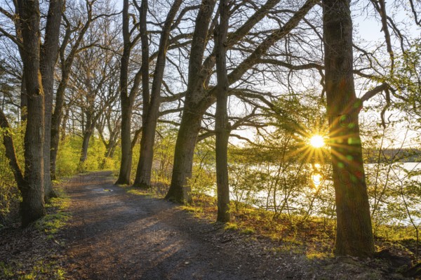 Sunrise at Ahlhorn fish ponds, Ahlhorn, Lower Saxony, Germany