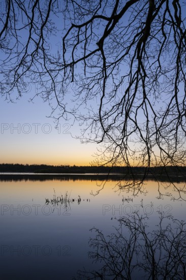 Sunrise at Ahlhorn fish ponds, Ahlhorn, Lower Saxony, Germany