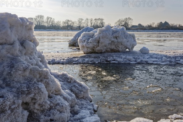 Ice skating on the Elbe with small icebergs on the water and on the banks of the Elbe Island near Geesthacht on a cold winter day. Geesthacht, Schleswig-Holstein, Germany