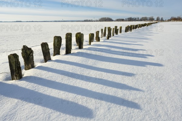 Winter at Dümmer, on ice, Eickhöpen, Lembruch, Lower Saxony, Germany