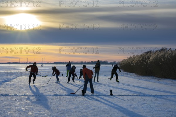 Skating, ice hockey men playing on the frozen Dümmer See, Winter at Dümmer, Eickhöpen, Lembruch, Lower Saxony, Germany