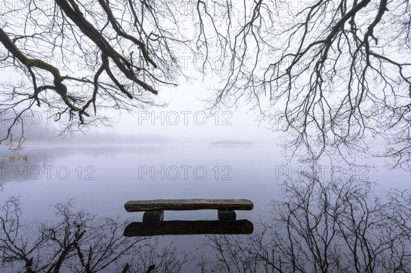 Ahlhorn fish ponds in fog, Ahlhorn, Lower Saxony, Germany