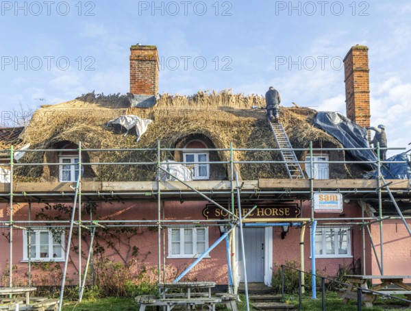Thatcher at work replacing thatch ridge of thatched country pub building, Sorrel Horse, Shottisham, Suffolk, England, UK
