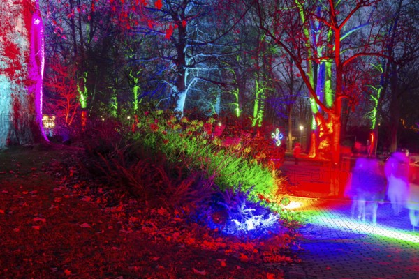 Winter lights in Luisenpark in Mannheim. Every year in January and early February, the park is extensively illuminated at dark