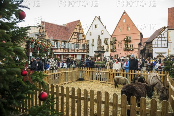Christmas market, Eguisheim, Haut-Rhin, Grand Est Region, Alsace, France