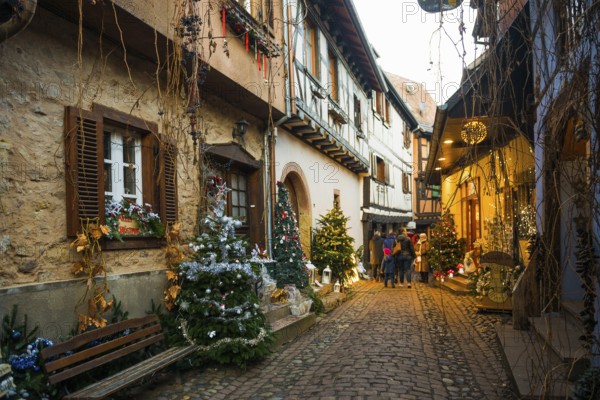Christmassy decorated houses and alley with half-timbered houses, Christmas market, Eguisheim, Haut-Rhin department, Grand Est region, Alsace, France