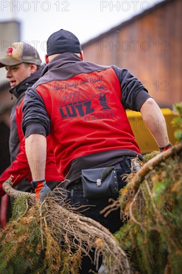 Two men in red jackets hauling a tree trunk, tree work, Gechingen, Calw district, Germany