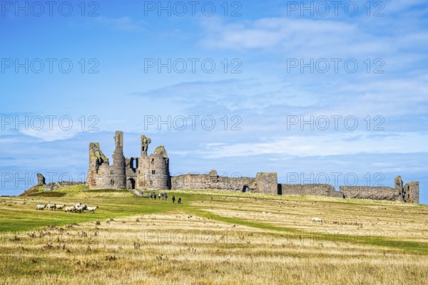 Ruins of Dunstanburgh Castle, Northumberland Coast, England, UK