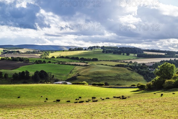 Scottish fields and farms, Southeast Scotland, UK