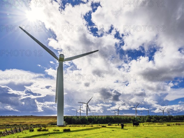 Wind Farm in southeast Scotland, UK