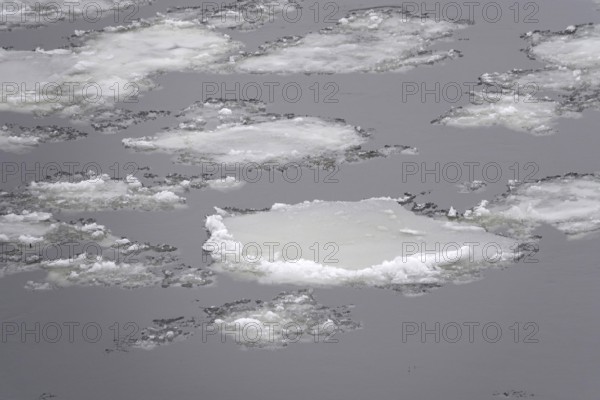 Elbe in winter with ice floes, Dresden, Saxony, Germany