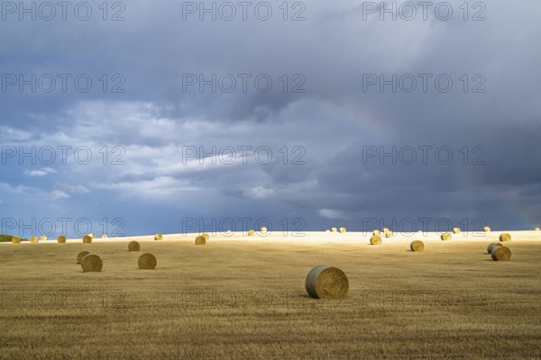 Straw bales on the Scottish fields, Southeast Scotland, UK