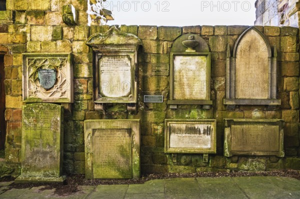 Jedburgh Abbey, Augustinian Abbey, Jedburgh, Scottish Borders, Scotland, UK