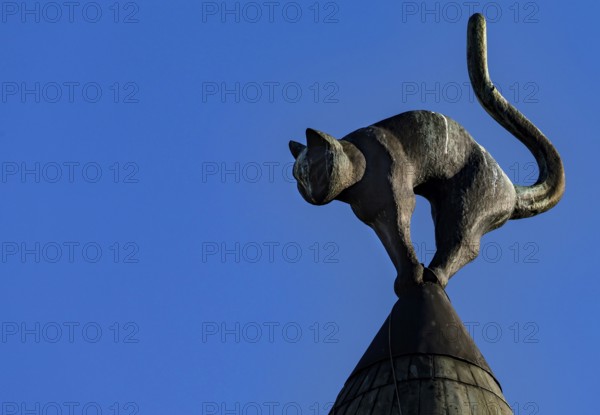 Lead sculpture of a cat on the roof of the cat house against a clear sky, Riga, Latvia