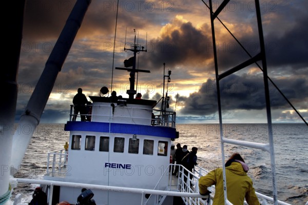 Boat on a sunset whale watching trip near Andenes, Andenes, Vesterålen, Norway
