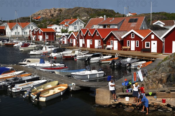 Red wooden houses on a lively harbour full of boats in idyllic surroundings, Klädesholmen, Västra Götaland, Sweden